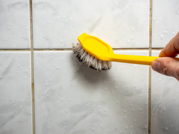 Best Emergency Mold Removal  in Martinsburg, PA