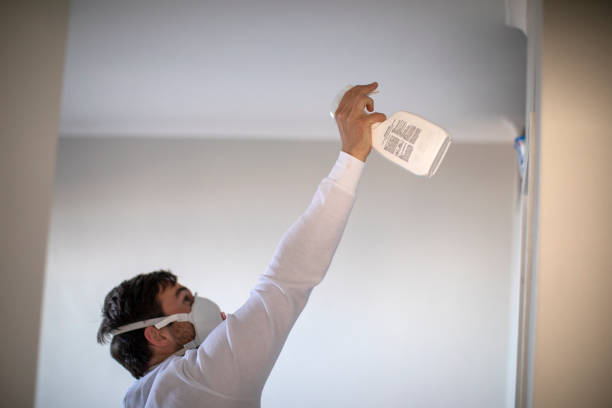 Best Mold Removal Near Me  in Martinsburg, PA