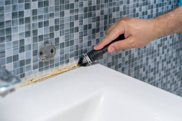 Best Certified Mold Removal  in Martinsburg, PA